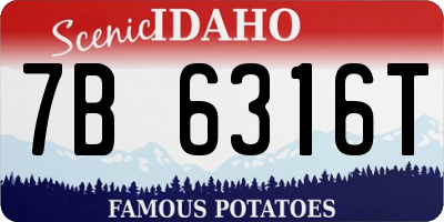 ID license plate 7B6316T