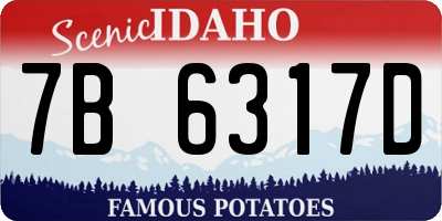 ID license plate 7B6317D