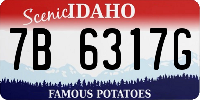 ID license plate 7B6317G