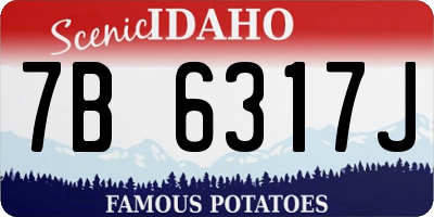 ID license plate 7B6317J