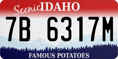 ID license plate 7B6317M
