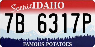 ID license plate 7B6317P
