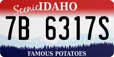 ID license plate 7B6317S