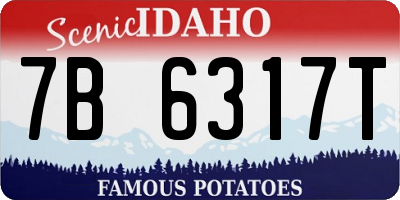 ID license plate 7B6317T