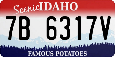 ID license plate 7B6317V