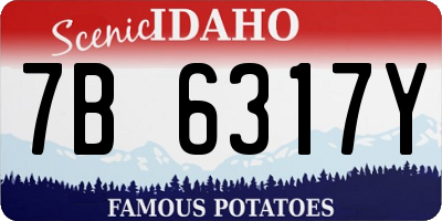 ID license plate 7B6317Y