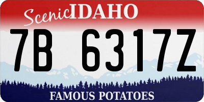 ID license plate 7B6317Z