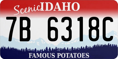 ID license plate 7B6318C