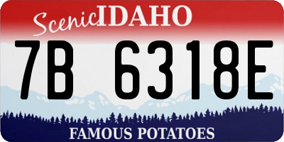ID license plate 7B6318E