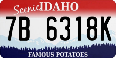 ID license plate 7B6318K