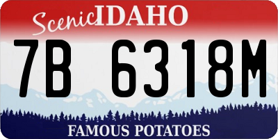 ID license plate 7B6318M
