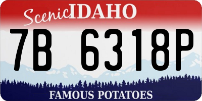 ID license plate 7B6318P