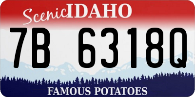 ID license plate 7B6318Q