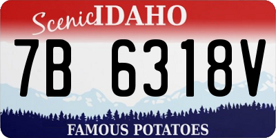 ID license plate 7B6318V