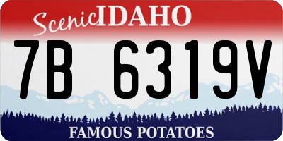 ID license plate 7B6319V