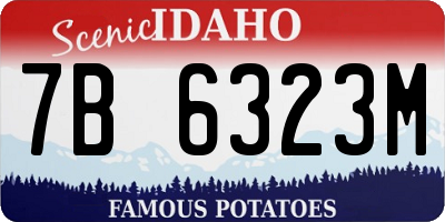 ID license plate 7B6323M