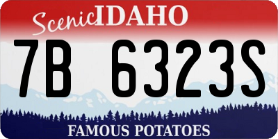 ID license plate 7B6323S