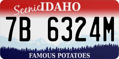 ID license plate 7B6324M
