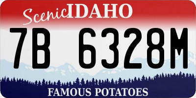 ID license plate 7B6328M