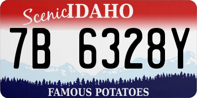 ID license plate 7B6328Y