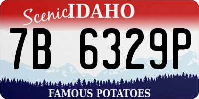 ID license plate 7B6329P