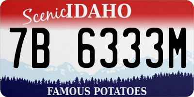ID license plate 7B6333M
