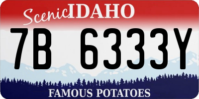 ID license plate 7B6333Y