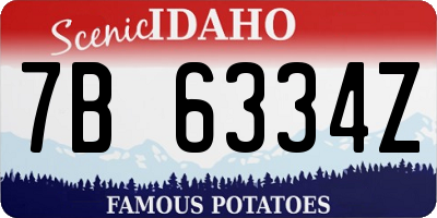 ID license plate 7B6334Z