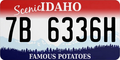 ID license plate 7B6336H