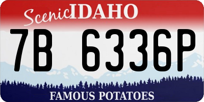 ID license plate 7B6336P