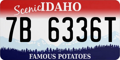 ID license plate 7B6336T