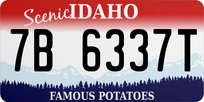 ID license plate 7B6337T