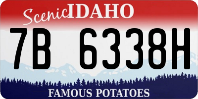 ID license plate 7B6338H