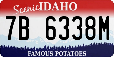 ID license plate 7B6338M