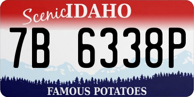 ID license plate 7B6338P