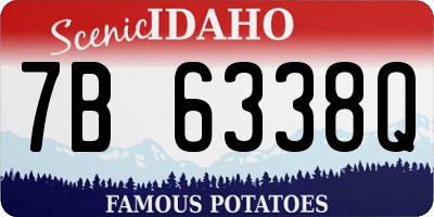 ID license plate 7B6338Q