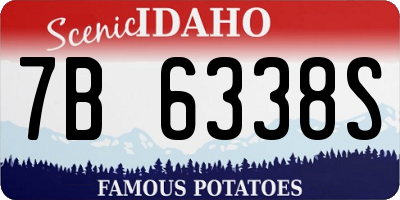 ID license plate 7B6338S