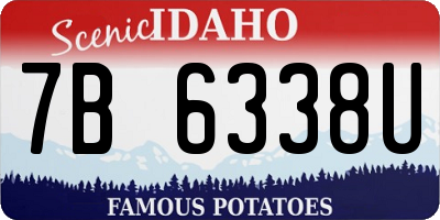 ID license plate 7B6338U