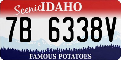 ID license plate 7B6338V