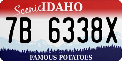ID license plate 7B6338X