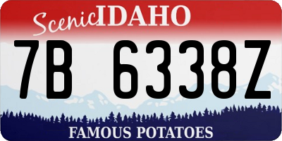 ID license plate 7B6338Z