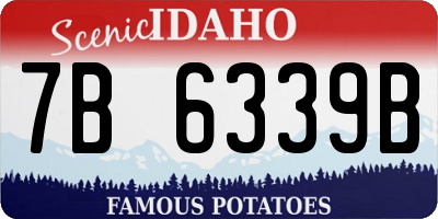 ID license plate 7B6339B