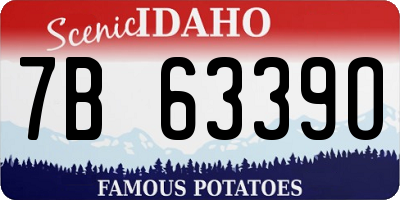 ID license plate 7B6339O