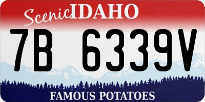 ID license plate 7B6339V