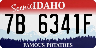 ID license plate 7B6341F