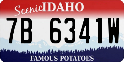 ID license plate 7B6341W