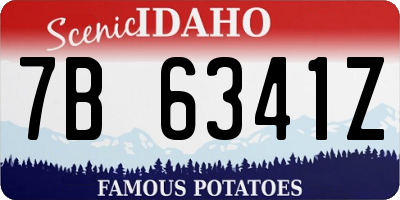 ID license plate 7B6341Z