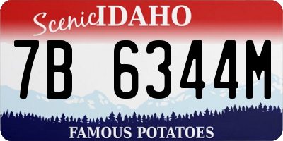 ID license plate 7B6344M