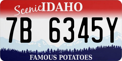 ID license plate 7B6345Y