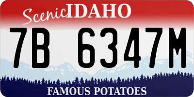 ID license plate 7B6347M
